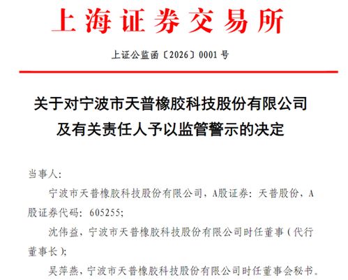 16倍大牛股狂炒AI概念“翻车”，公司回应 人工智能理论与算法软件开发还需时间